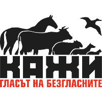 sertificate